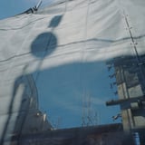 陰と陽