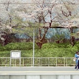 春の記憶