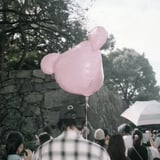本体は上