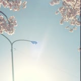 乙川
