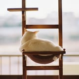 気晴らし