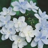 鎌倉にて