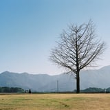 冬の空