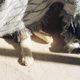 て