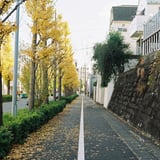 線