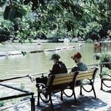 週末の公園