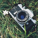 NIKON F