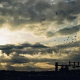 春の朝日