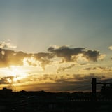 朝