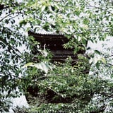 上野の五重塔