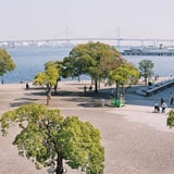 港