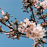 もうすぐ
