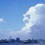 夏