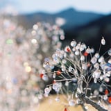 雪の結晶