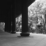 聖福寺　仏殿