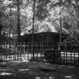 友泉亭公園内　如水庵