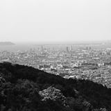 油山　中央展望台にて
