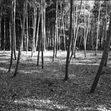 西南の杜湖畔公園
