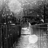 福岡市　油山市民の森