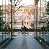今年はどんな桜を撮ろう