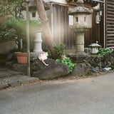 こんにちは