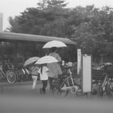 梅雨のおでかけ