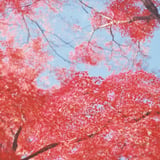 心を集めよ