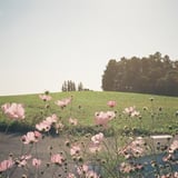 光芒