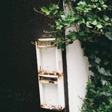 朽ちていく＊02