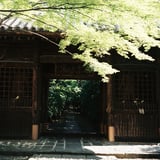 山門