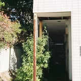 還っていく