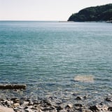 蛤浜