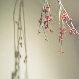 秋へかたむく