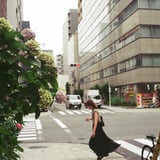 そう言えば 紫陽花 咲いてたな...