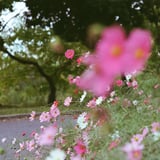 本年も宜しくお願い致します... 