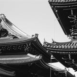 見上げれば...