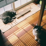 お気に入りの場所