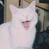 うにゃあ