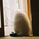 見張り