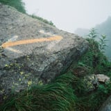 分岐点