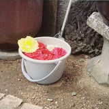 バケツいっぱいのバラ