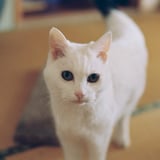 2月