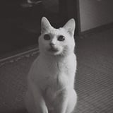 んあ