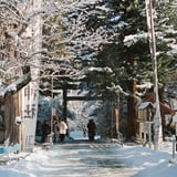 雪化粧。