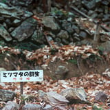 愛され山