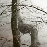 雨の日