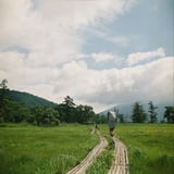 夏の尾瀬