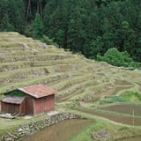石積みの棚田