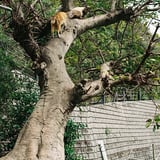 追い詰められて