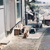 坂の途中